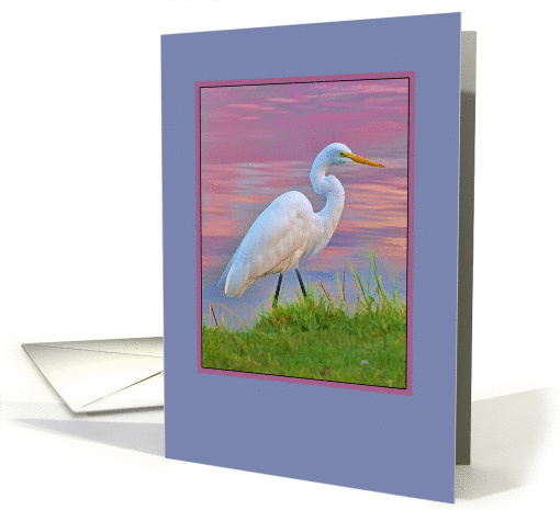 Great Egret with Purple Irises card (440108)