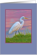 Great Egret with Purple Irises card