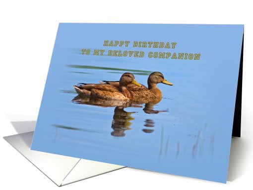 Companion's  Birthday Card with Ducks card (487581)