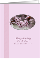 Great Grandmother’s Birthday Card with Pink Flowers card