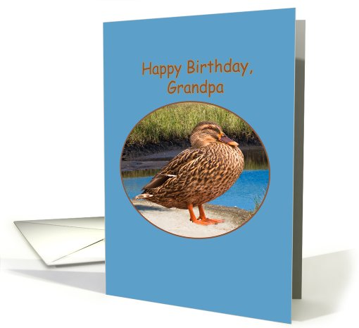 Grandpa's Birthday Card with Mallard Duck card (506572)