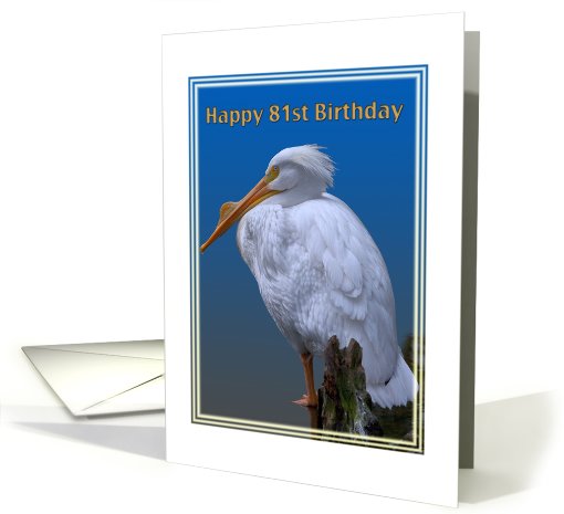 81st Birthday Card with American White Pelican card (507506)