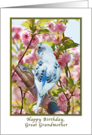 Great Grandmother’s Birthday with Bird and Flowers card