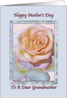 Grandmother’s Mother’s Day Card With Peace Rose card