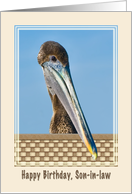 Son-in-law’s Birthday Card with Brown Pelican and Flowers card
