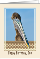 Son’s Birthday Card with Brown Pelican and Flowers card