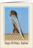 Nephew’s Birthday Card with Brown Pelican and Flowers card