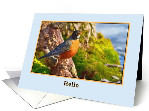 Hi/Hello Card with Robin card (587176)