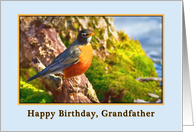 Grandfather’s Birthday, Robin on a Log card