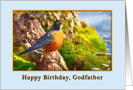Godfather’s Birthday, Robin on a Log card