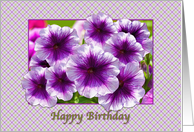 Happy Birthday, Religious, Petunias, Purple and White card