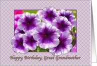 Happy Birthday, Great Grandmother, Petunias, Purple and White card