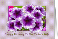 Happy Birthday, Pastor’s Wife, Petunias, Purple and White card