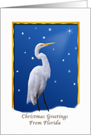 Christmas, Greetings From Florida, Great Egret, Star, Snow card