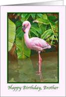 Birthday, Brother, Pink Flamingo card