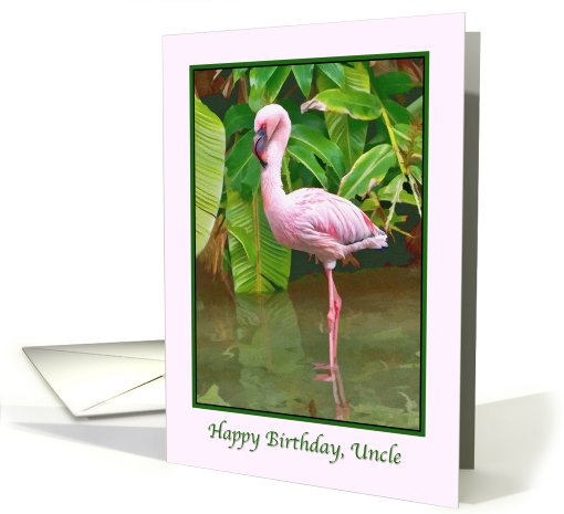 Birthday, Uncle,  Pink Flamingo card (674740)