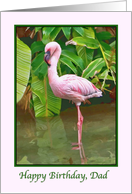 Birthday, Dad, Pink Flamingo card