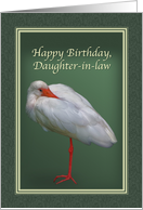Birthday, Daughter-in-law, White Ibis Bird card