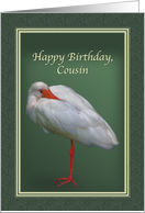 Birthday, Cousin, White Ibis Bird card
