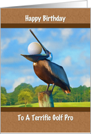 Birthday, Golf Pro, Pelican, Golf Ball card