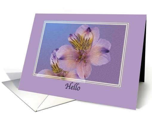 Hi/Hello, Lavender Flowers card (690935)
