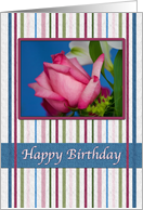 Birthday, Red Rose, Stripes card