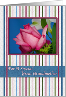 Birthday, Great Grandmother, Red Rose, Stripes card