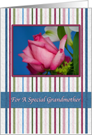 Birthday, Grandmother, Red Rose, Stripes card