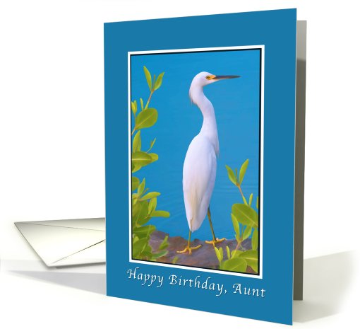 Birthday, Aunt, Snowy Egret Bird card (723851)
