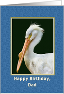 Birthday, Dad, White Pelican Bird card