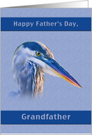 Father’s Day, Grandfather, Great Blue Heron card