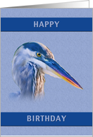 Birthday, Great Blue Heron card