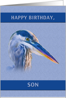 Birthday, Son, Great Blue Heron card
