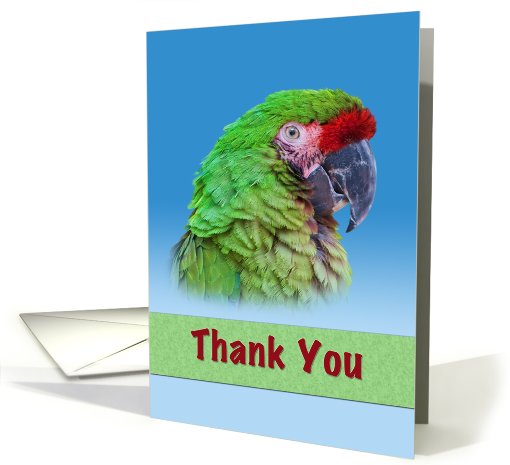 Thank You, Green Parrot card (779938)