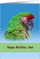 Birthday, Dad, Green Parrot card
