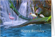 Birthday, Tropical Waterfall with Flamingos and Ibises card