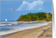Tropical Beach, Sailboat, Birds Blank Card