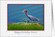 Birthday, Pastor, Little Blue Heron card