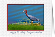 Birthday, Daughter-in-law, Little Blue Heron card