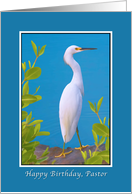 Birthday, Pastor, Snowy Egret card