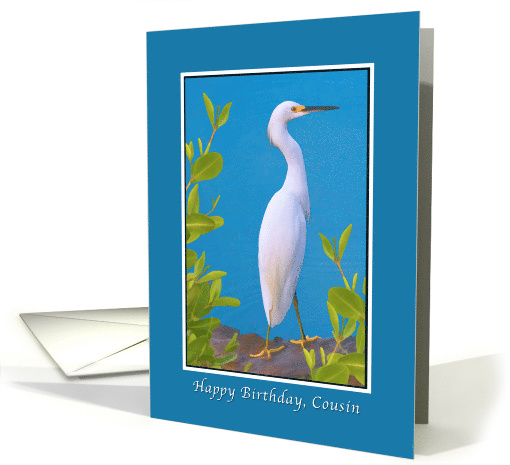 Birthday, Cousin, Snowy Egret card (798168)