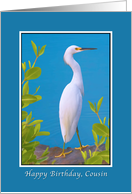 Birthday, Cousin, Snowy Egret card