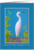 Birthday, Daughter-in-law, Snowy Egret card