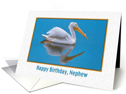 Birthday, Nephew, White Pelican card (806764)