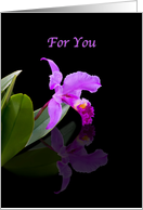Birthday, Orchid on Black card