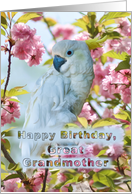 Birthday, Great Grandmother, White Parrot card