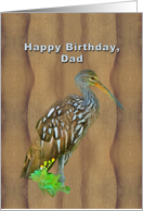 Birthday, Dad, Limpkin Marsh Bird card