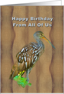 Birthday, From All of Us, Limpkin Marsh Bird card