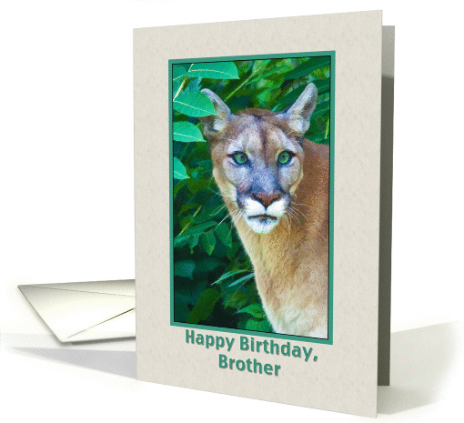Birthday Wishes, Brother, Cougar in the Jungle card (855054)