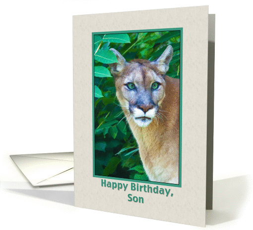 Birthday Wishes, Son, Cougar in the Jungle card (855055)